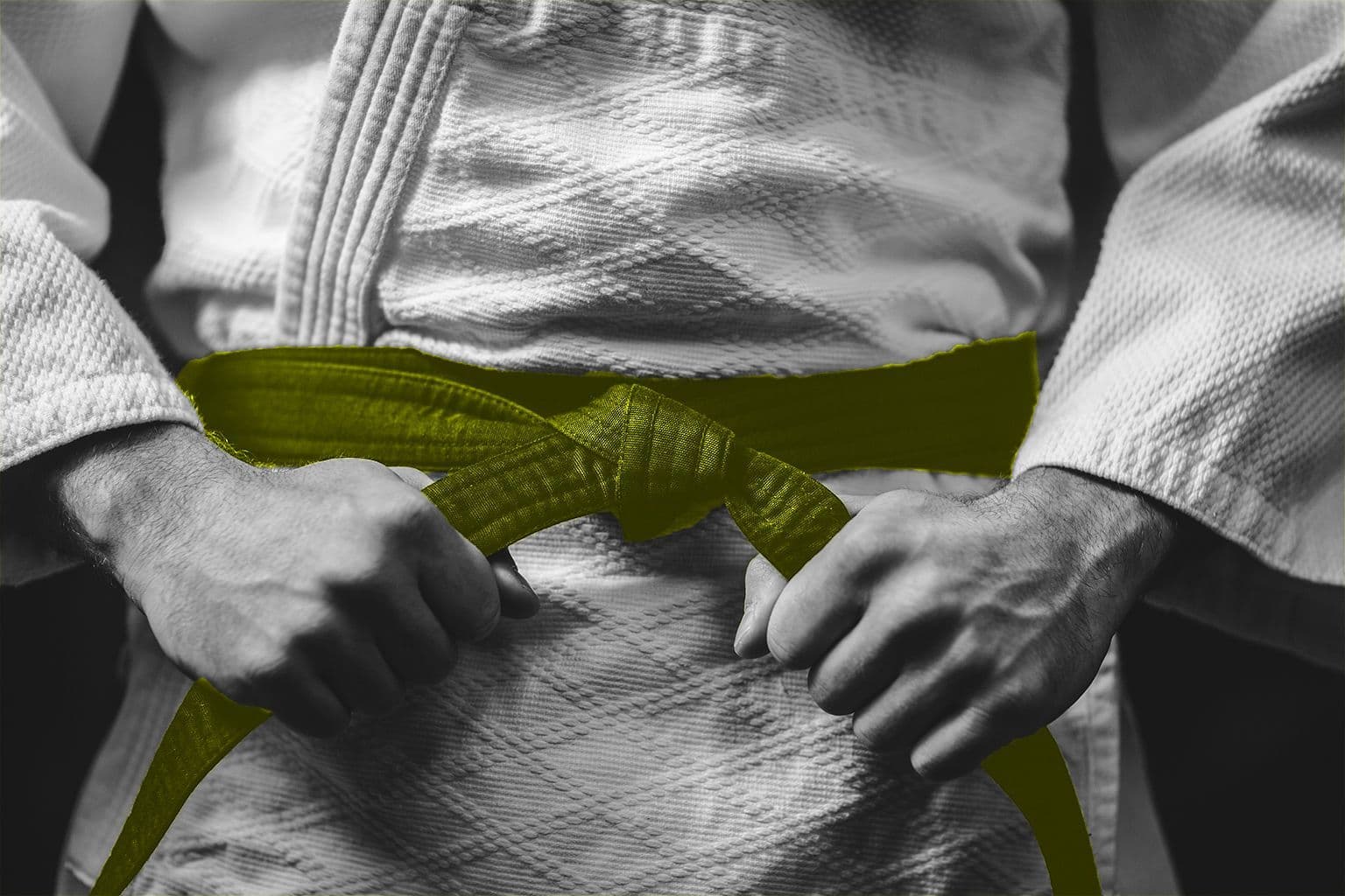 karate master wearing a gi and green belt